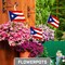 G128 12 Pack Handheld Puerto Rico Puerto Rican Stick Flags | 8x12 In | Printed 150D Polyester, Country Flag, Solid Wooden Stick, Spear Gold Tip